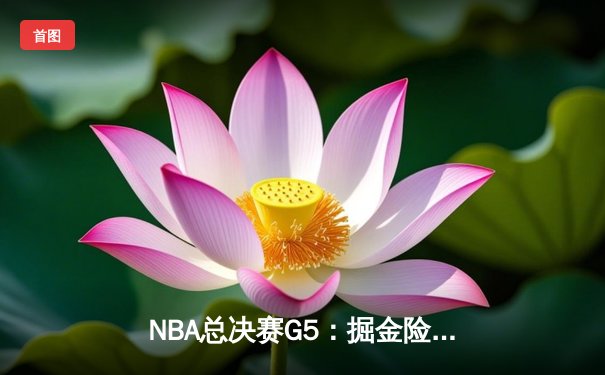 NBA总决赛G5：掘金险胜热火夺冠 约基奇荣膺FMVP
